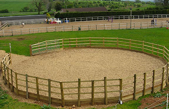 Lunging Arena